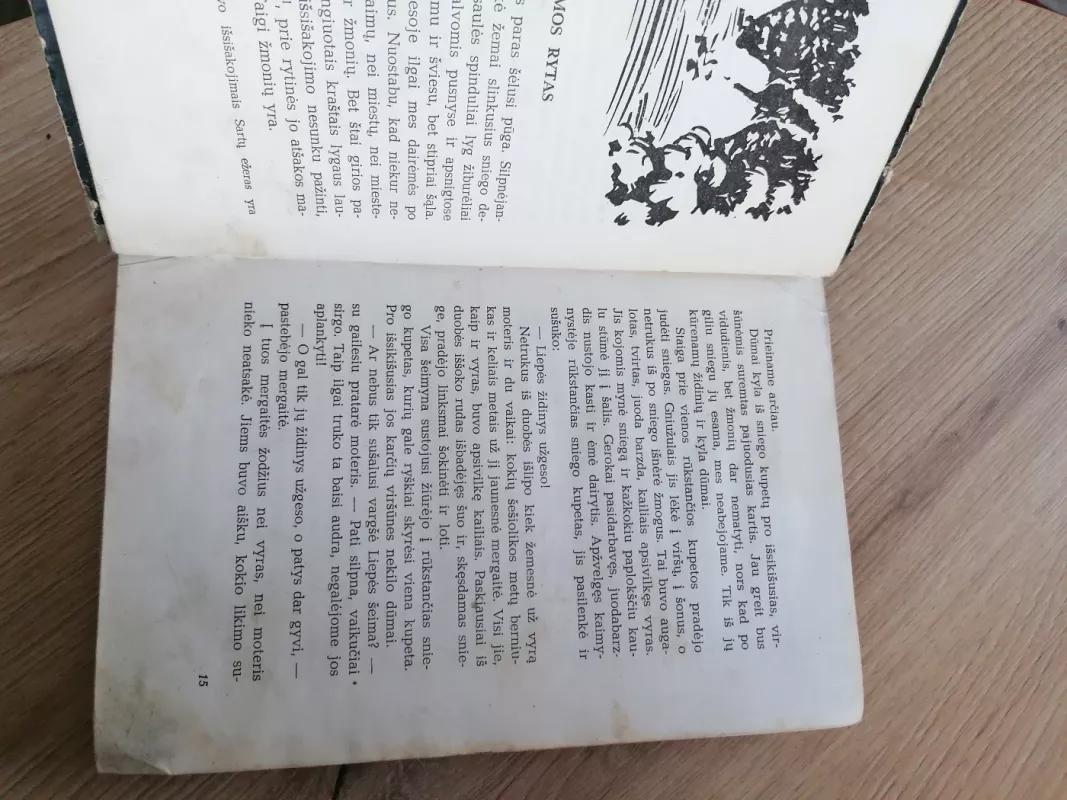 Rambyno burtininkas - Petras Tarasenka, knyga 3