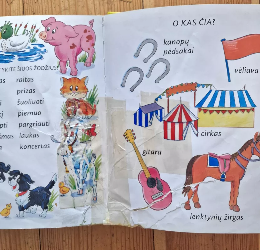 Aš jau skaitau. Kiemo istorijos - Maureen Spurgeon, knyga 4