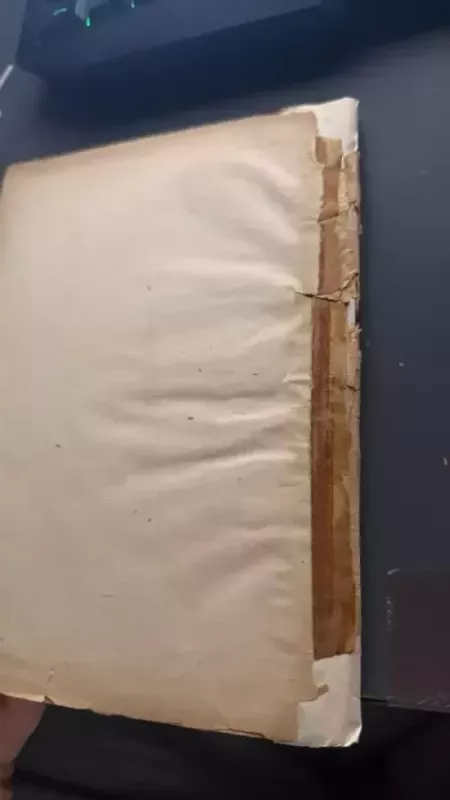 Gyveno kartą karalius - Liudas Dovydėnas, knyga 4