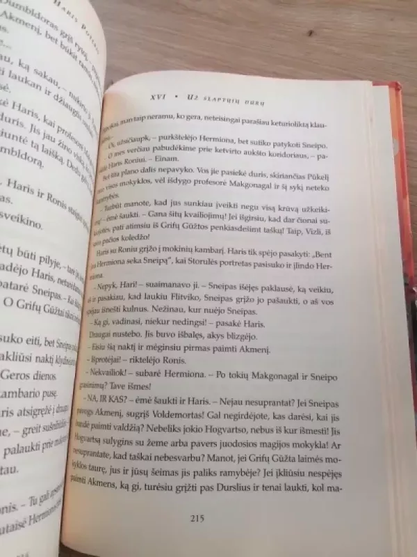 Haris Poteris ir išminties akmuo - Rowling J. K., knyga 4