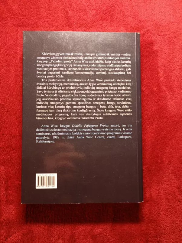 Pažadinti protą - Anna Wise, knyga 3