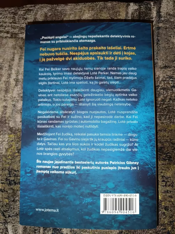 Paslėpti angelai - Patricia Gibney, knyga 3