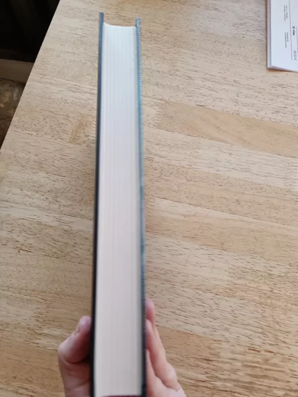 Apleistosios pilies paslaptis - Ohlsson Kristina, knyga 4