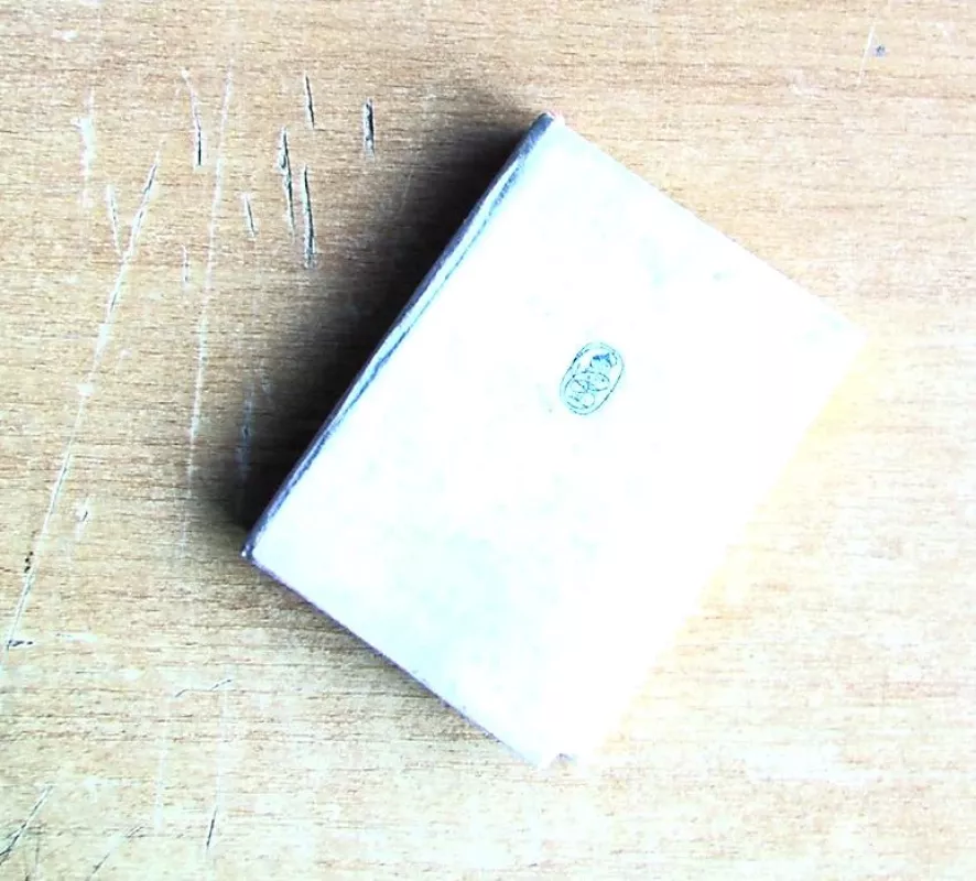 Ilgesys - ta giesmė - Paulius Širvys, knyga 2