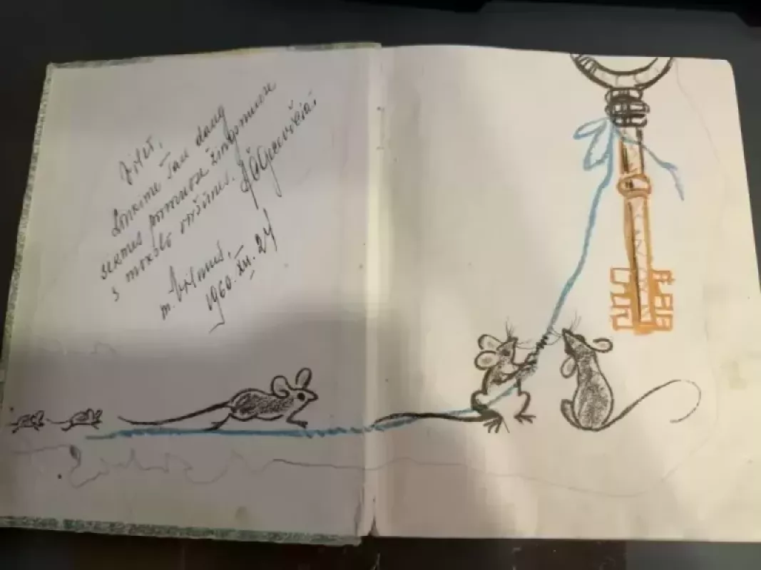 Mergaite lelija - S. Lungytė, knyga 3