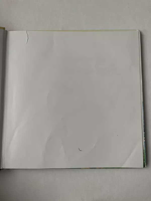 Kur tas pasaulio kraštas? - Česlovas Navakauskas, knyga 3