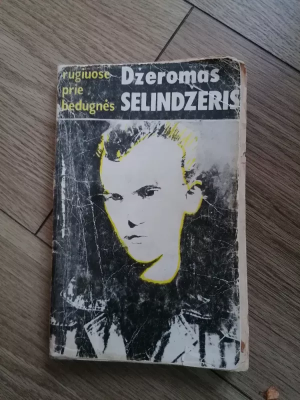Rugiuose prie bedugnės - Džeromas Selindžeris, knyga 2