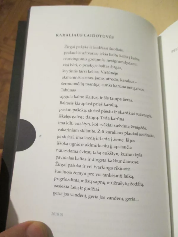 Įtrūkusios mėnesienos - Kornelijus Platelis, knyga 4