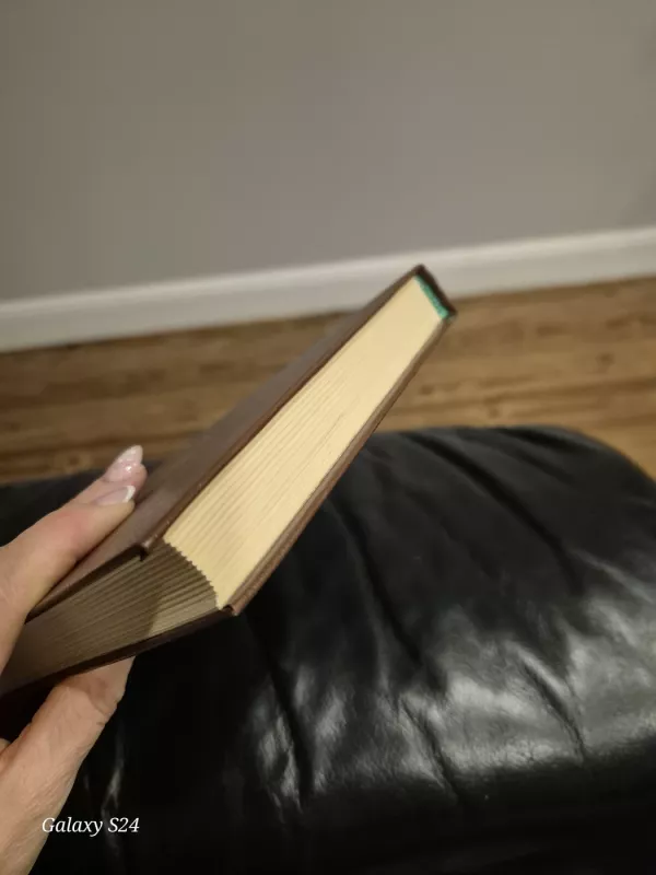 Doriano Grėjaus Portretas,  Menininko jaunų dienų portretas - Oskaras Vaildas, Džeimsas Džoisas, knyga 5