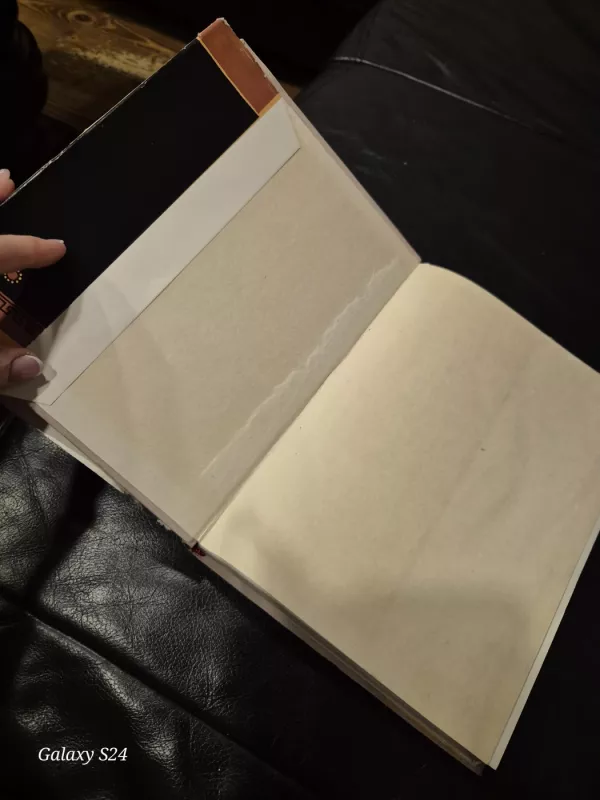 Iliada - Homeras, knyga 6