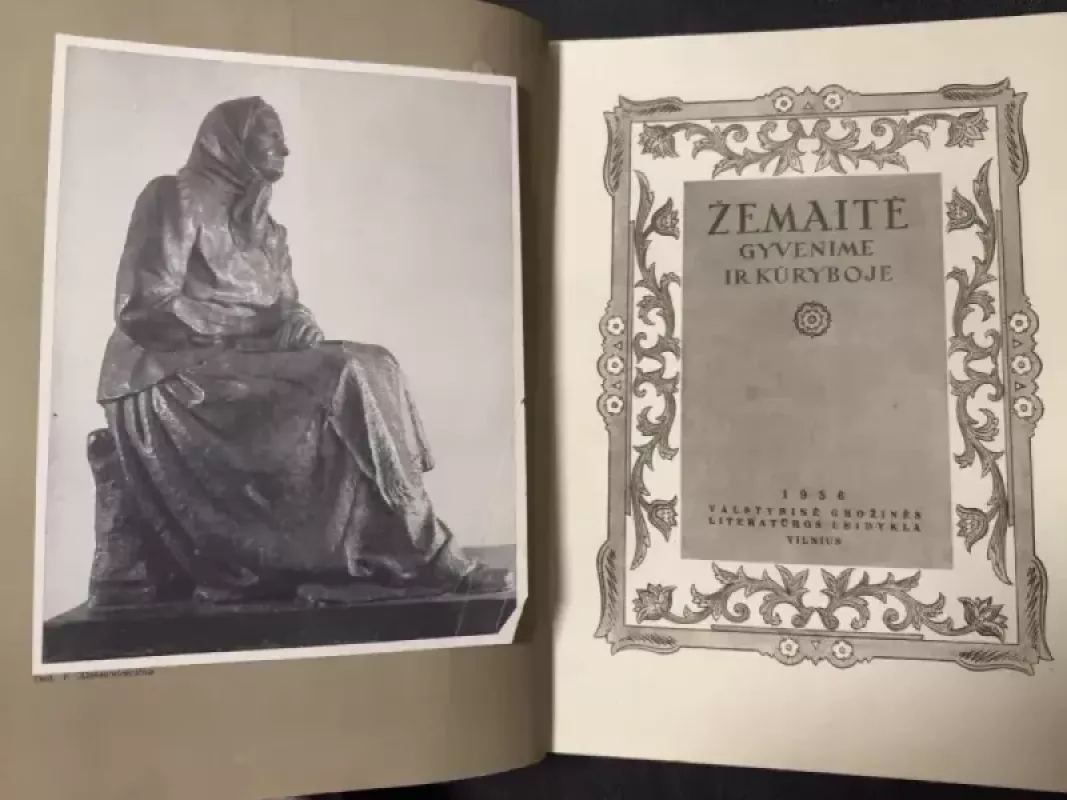 Žemaitė gyvenime ir kūryboje - J. Rimantas, knyga 4