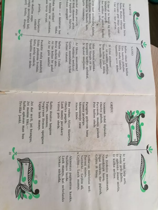 Negesk, žiburėli - Salomėja Nėris, knyga 4