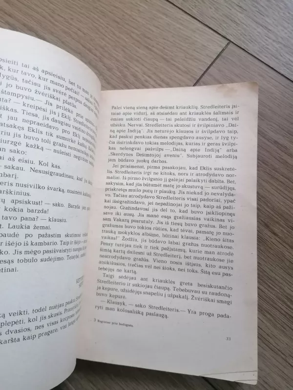 Rugiuose prie bedugnės - Džeromas Selindžeris, knyga 5