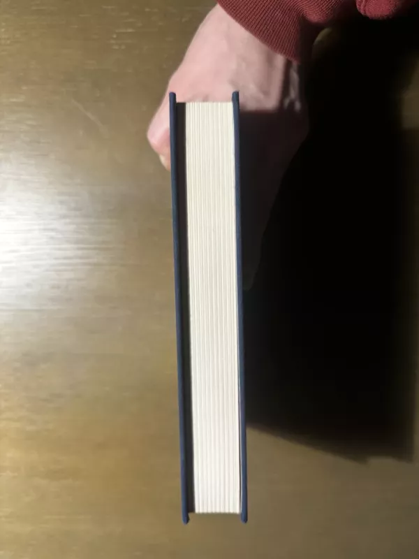 Vėtrų kalnas - Emily Brontė, knyga 3