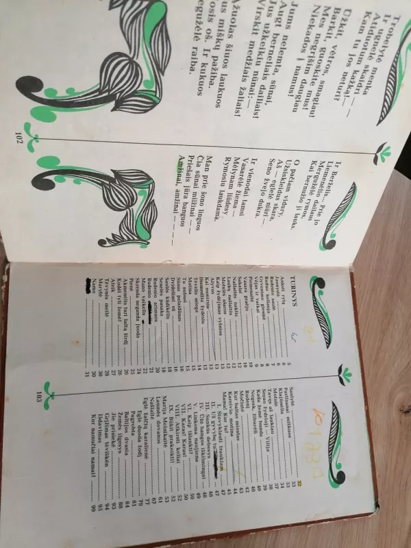 Negesk, žiburėli - Salomėja Nėris, knyga 6