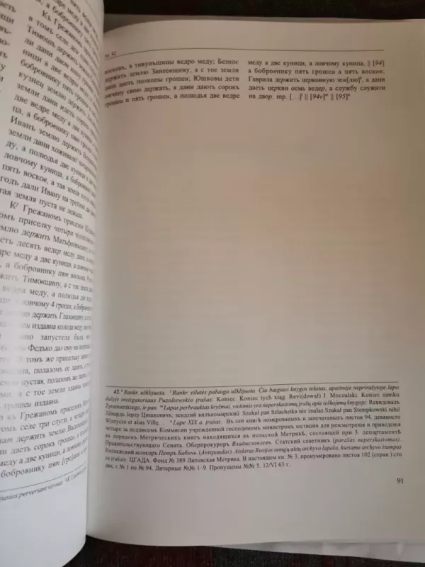 Lietuvos metrika (1440–1498) - Lina Anužytė, knyga 5