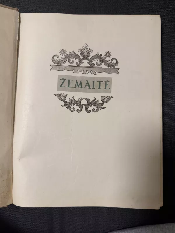 Žemaitė gyvenime ir kūryboje - J. Rimantas, knyga 2