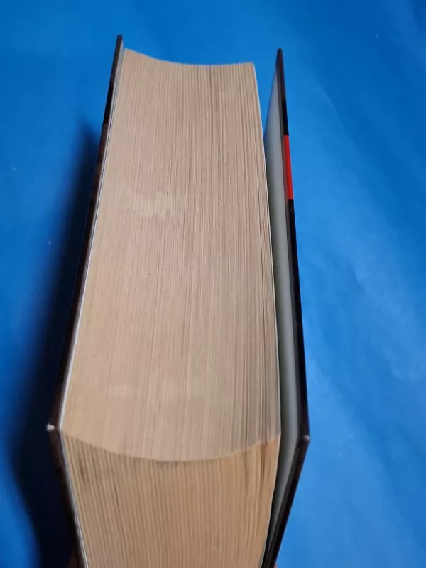 Fuko švytuoklė - Umberto Eco, knyga 4