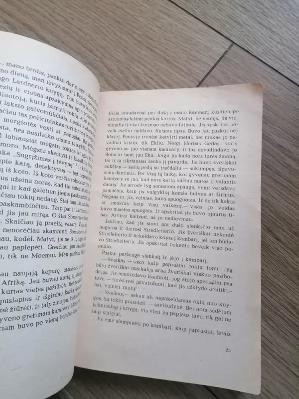 Rugiuose prie bedugnės - Džeromas Selindžeris, knyga 6