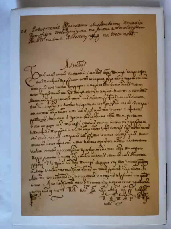 Lietuvos metrika (1440–1498) - Lina Anužytė, knyga 6