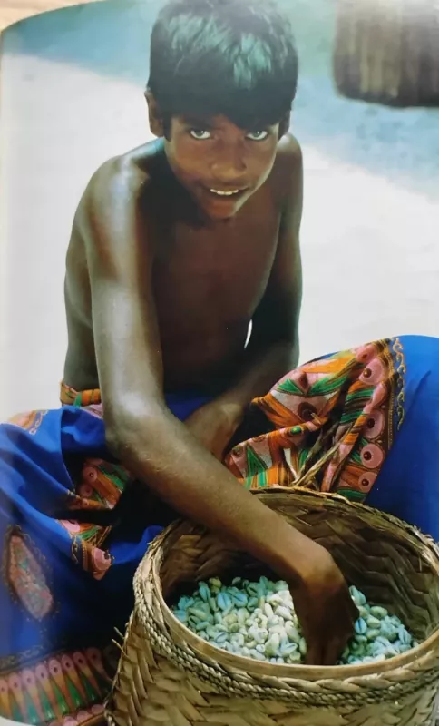 Maldyvų paslaptis - Thor Heyerdahlis, knyga 4