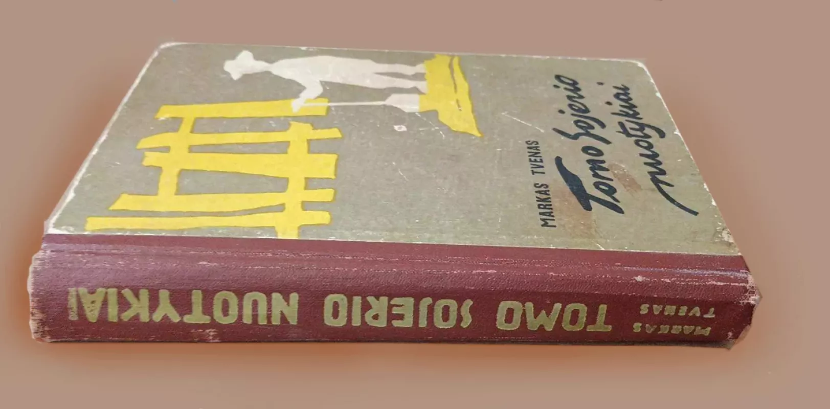 Tomo Sojerio nuotykiai - Markas Tvenas, knyga 4