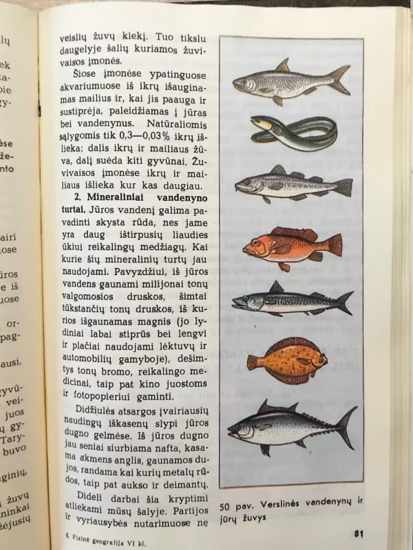 Fizinė geografija 6 kl. - N. Maksimovas, knyga 4