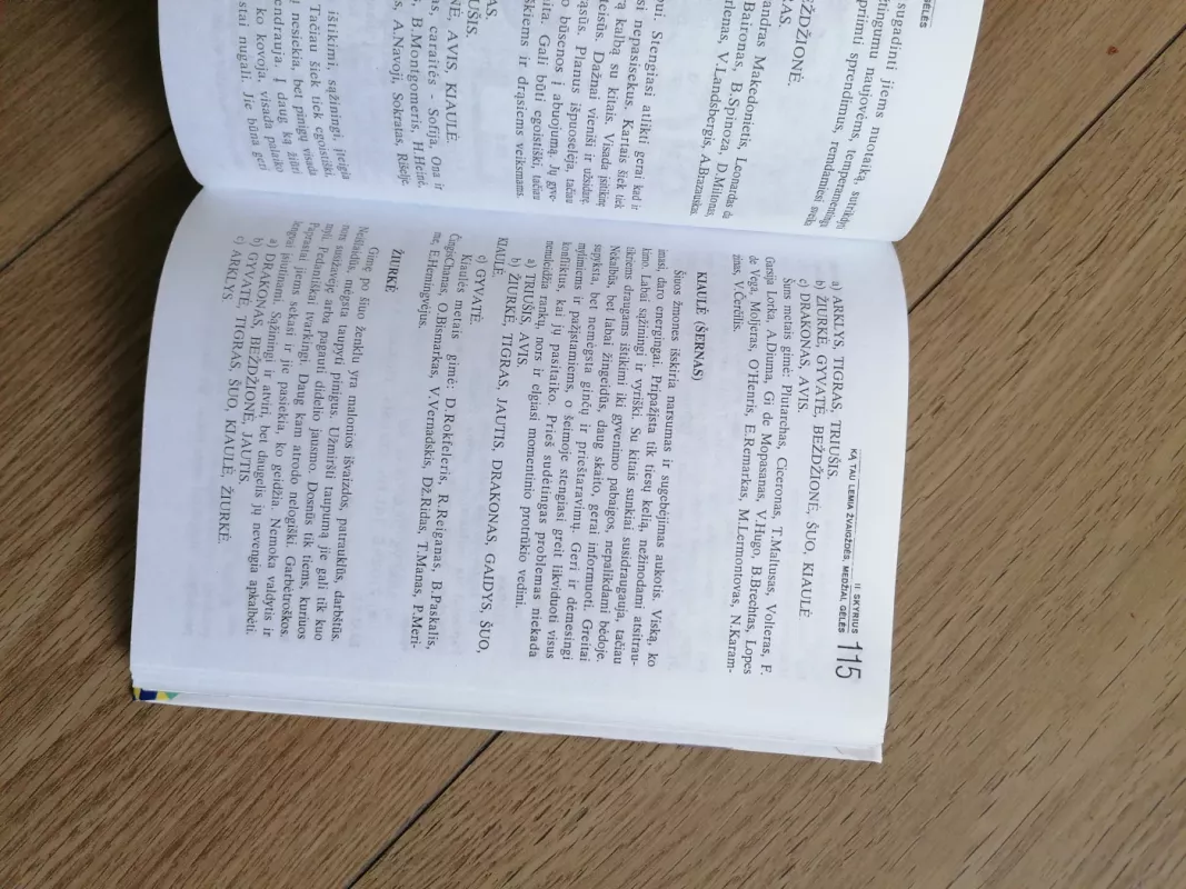 Burtai sapnai papročiai horoskopai - Autorių Kolektyvas, knyga 6