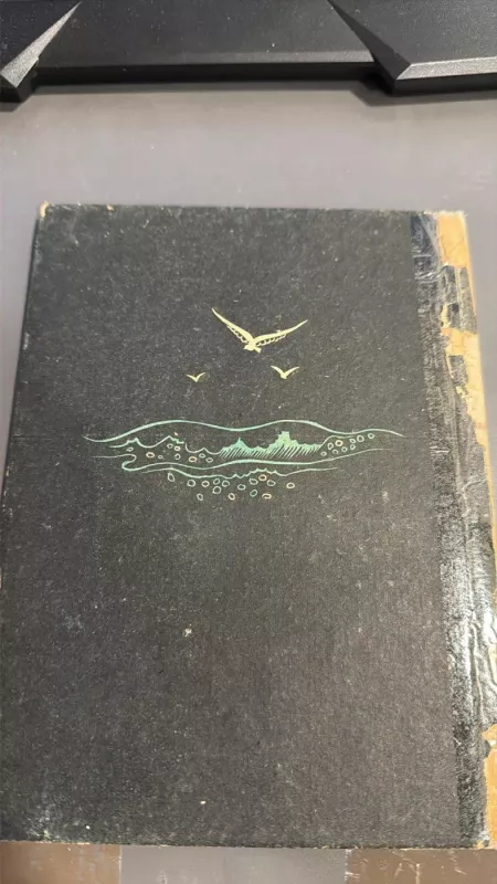 Anoj pusėj ežero - Pulgis Andriušis, knyga 3