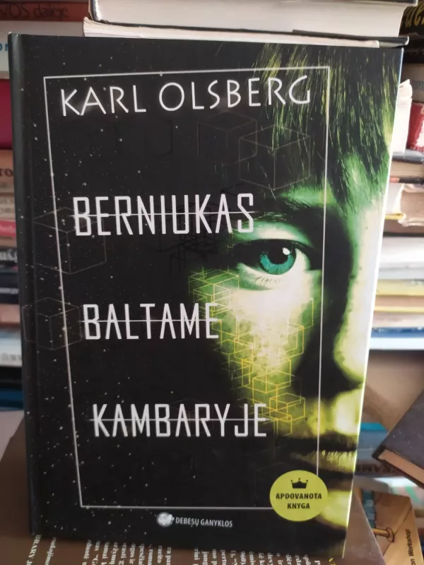Berniukas baltame kambaryje - Karl Olsberg, knyga 2