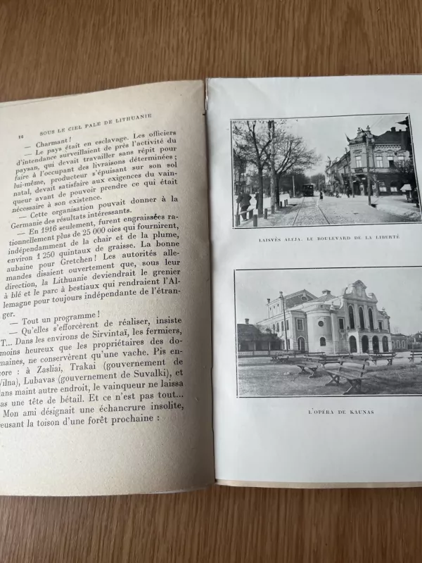 Sous le ciel pale de Lithuanie - Jean Mauclere, knyga 5