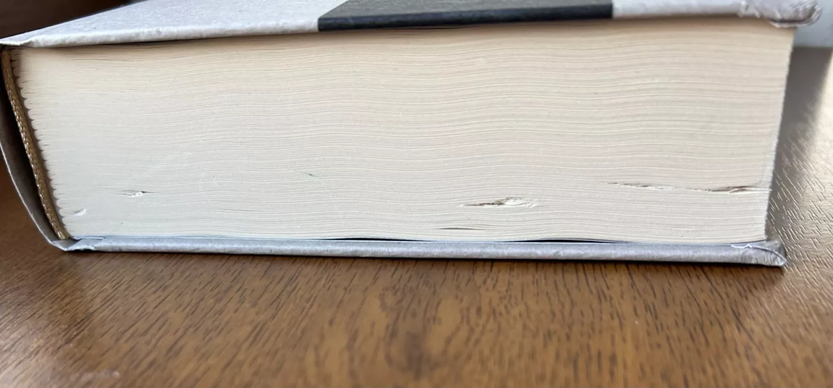 Nusišypsok mums, Viešpatie - Grigorijus Kanovičius, knyga 4