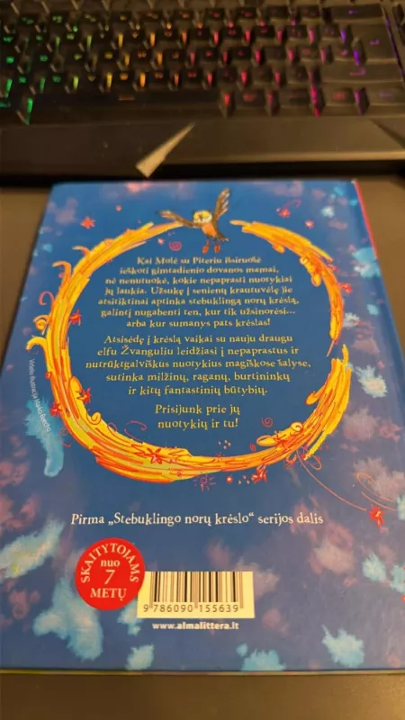 Stebuklingas norų krėslas - Guid Blyton, knyga 3