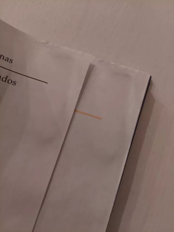 Vilniaus legendos. Pasakos - Antanas Ramonas, knyga 4