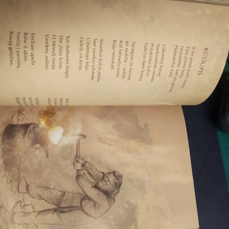 Kodėl miške švilpauti negalima - Linas Bitvinskas, knyga 5