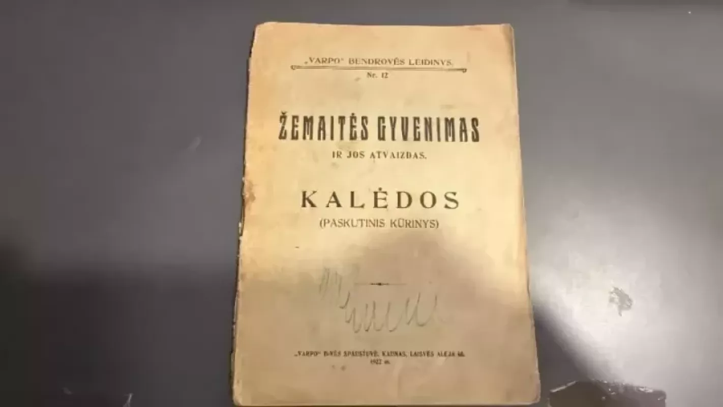 Žemaitės gyvenimas ir jos atvaizdas. Kalėdos (paskutinis kūrinys) - Autorių Kolektyvas, knyga 2