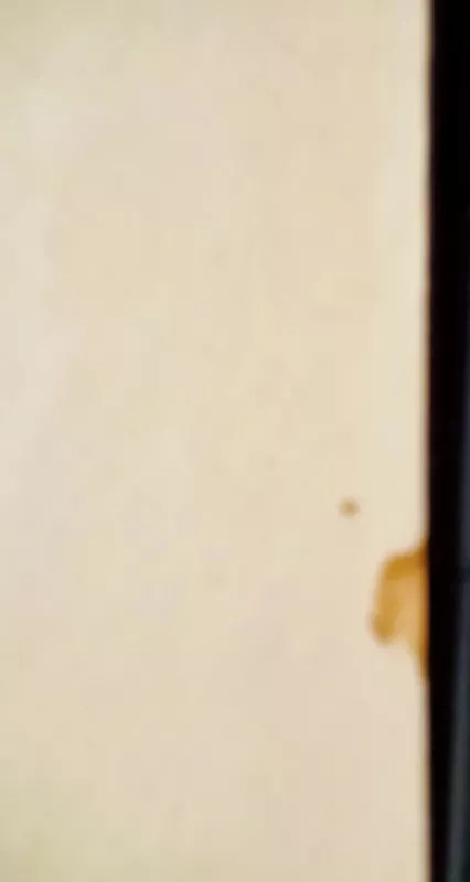 Vaižgantas. Rinktiniai raštai I. Iš kaimo buities - Vaižgantas, knyga 4