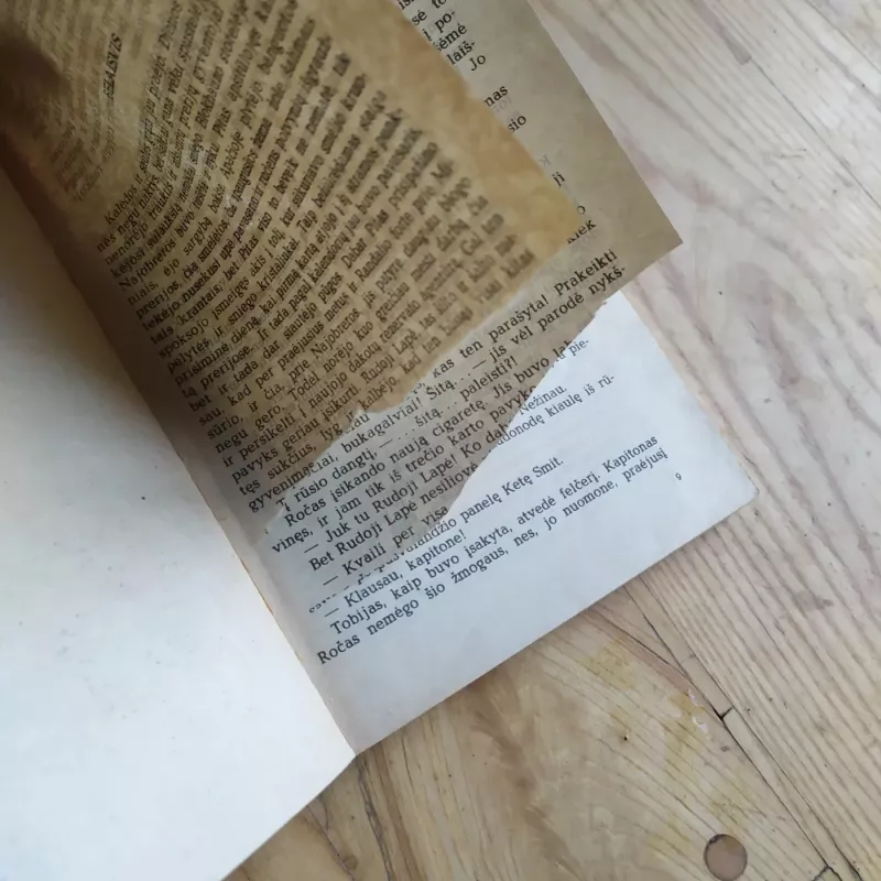 Anapus Misūrio - Lizelotė Velskopf-Henrich, knyga 3