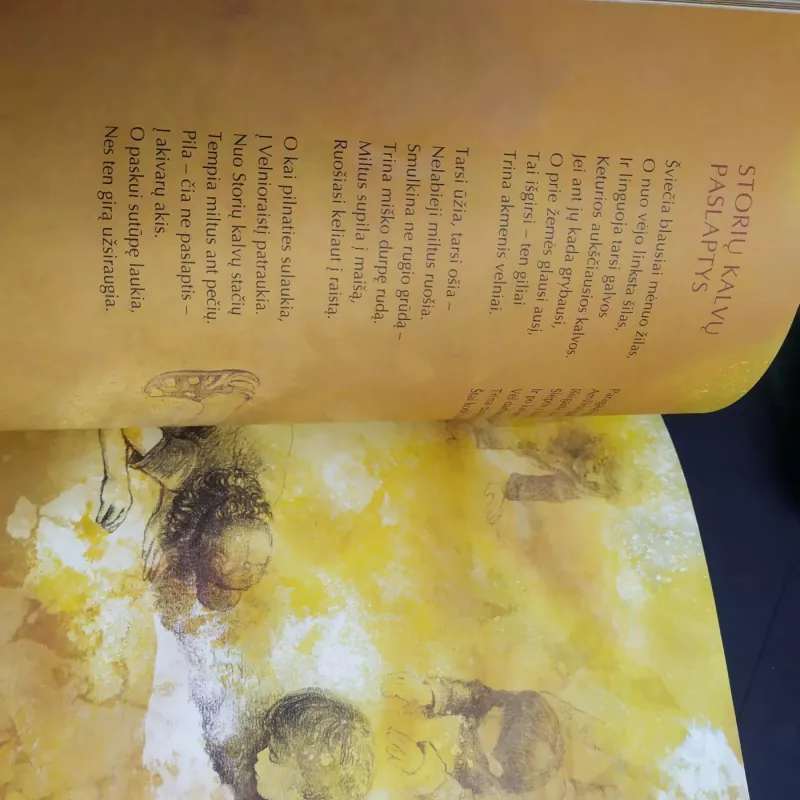 Kodėl miške švilpauti negalima - Linas Bitvinskas, knyga 4