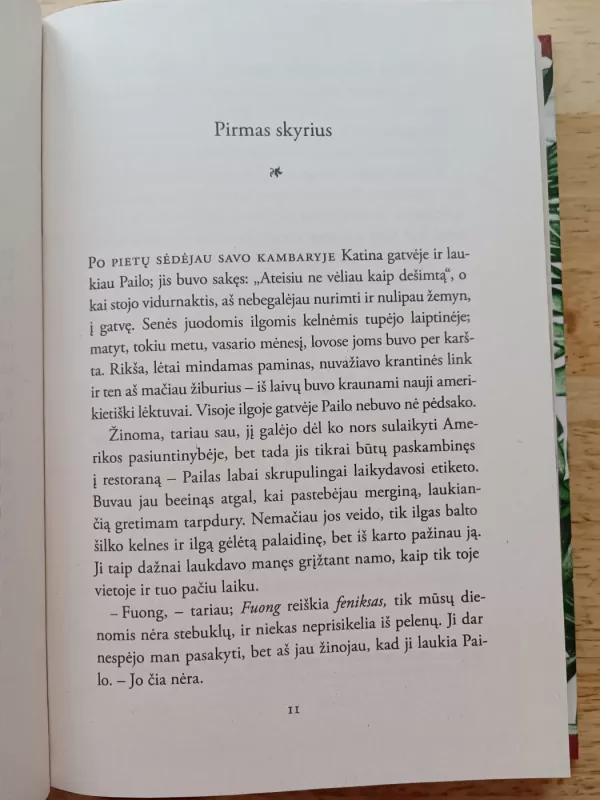 Tykusis amerikietis - Graham Greene, knyga 5