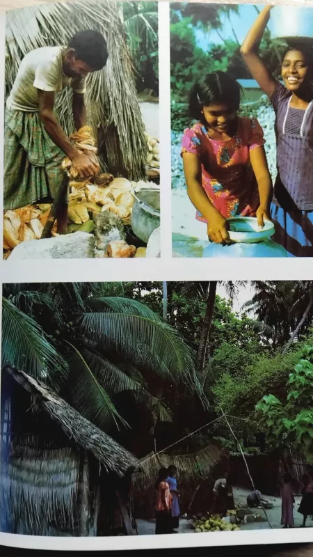 Maldyvų paslaptis - Thor Heyerdahlis, knyga 5