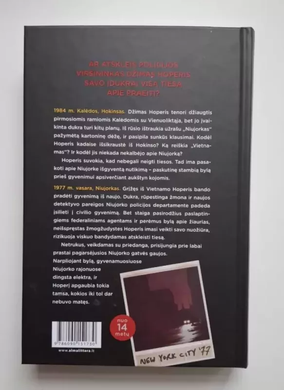 Stranger Things 2. Tamsa miesto pakraštyje - Christopher Adam, knyga 4