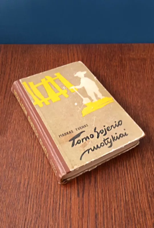 Tomo Sojerio nuotykiai - Markas Tvenas, knyga 3