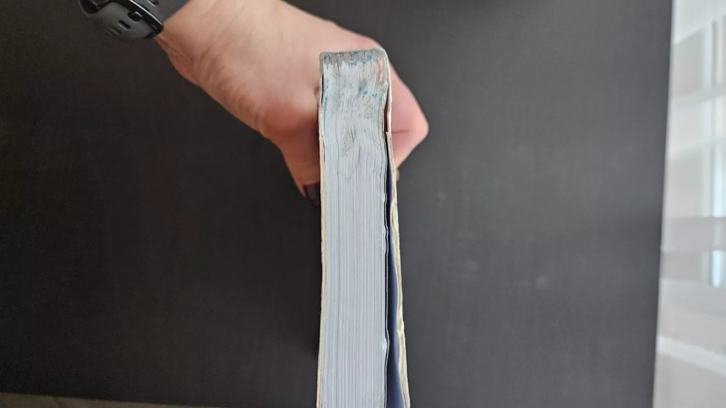 Amerika be dangoraižių. Bastūnės liudijimai 2 - Eglė Gerulaitytė, knyga 2