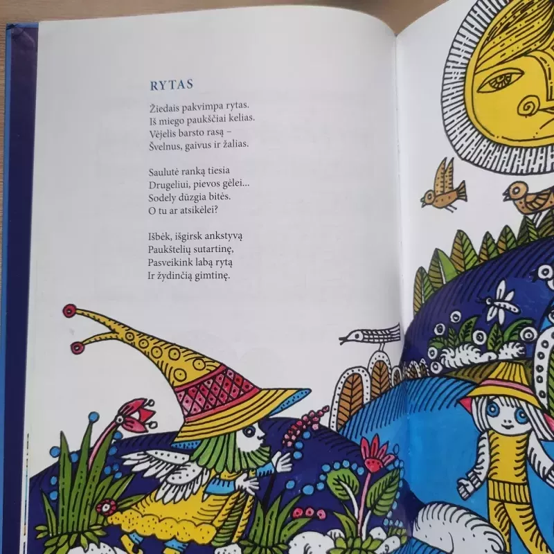 Saulė sodą pasodins - Martynas Vainilaitis, knyga 4