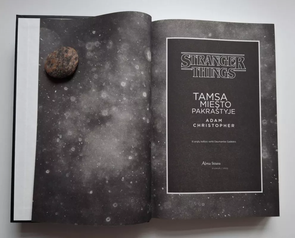 Stranger Things 2. Tamsa miesto pakraštyje - Christopher Adam, knyga 3