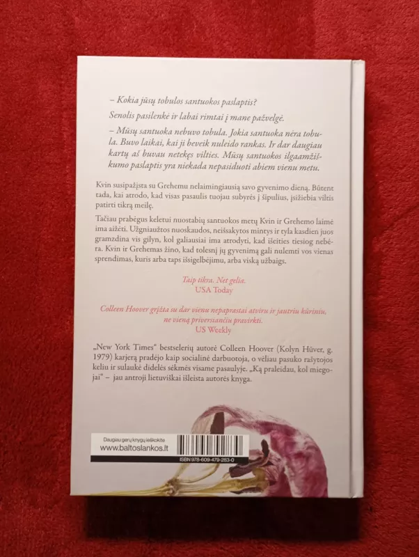 Ką praleidau, kol miegojai - Colleen Hoover, knyga 3