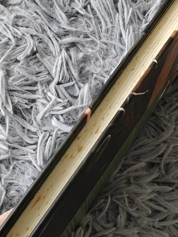 Angelas sargas - Francoise Sagan, knyga 3