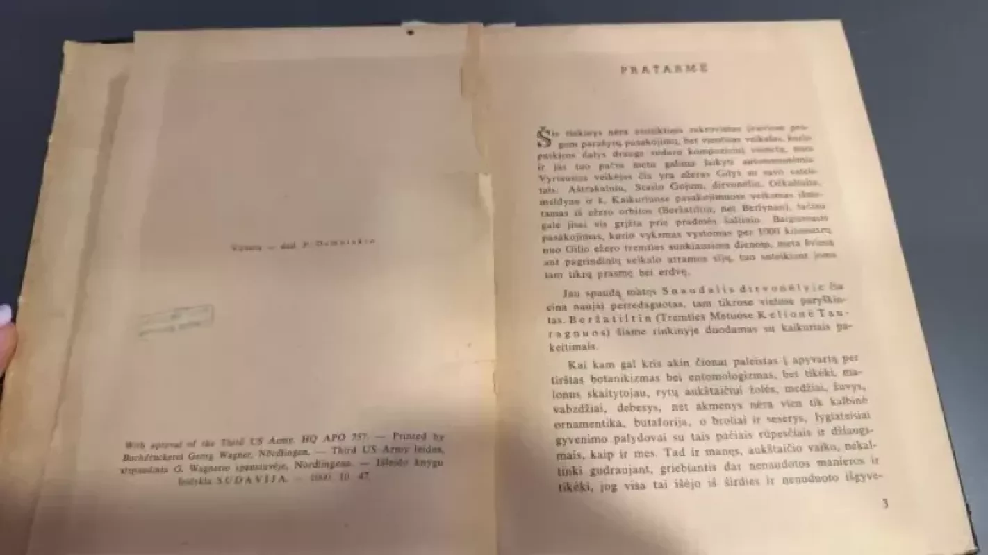 Anoj pusėj ežero - Pulgis Andriušis, knyga 5