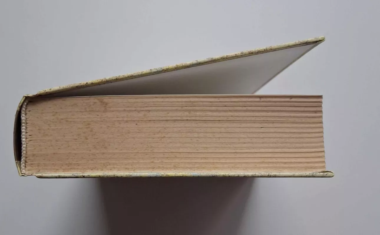 Citadelė - Antoine de Saint-Exupéry, knyga 6